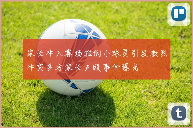 家长冲入赛场推倒小球员引发激烈冲突多方家长互殴事件曝光